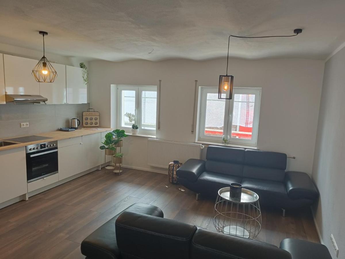 Apartments & Moeblierte Zimmer In Kahl Am Main, Kontaktloser Self Check-In, W-Lan, Schreibtisch, Duschbad, Kuechenzeile, Pkw-Plaetze Екстер'єр фото